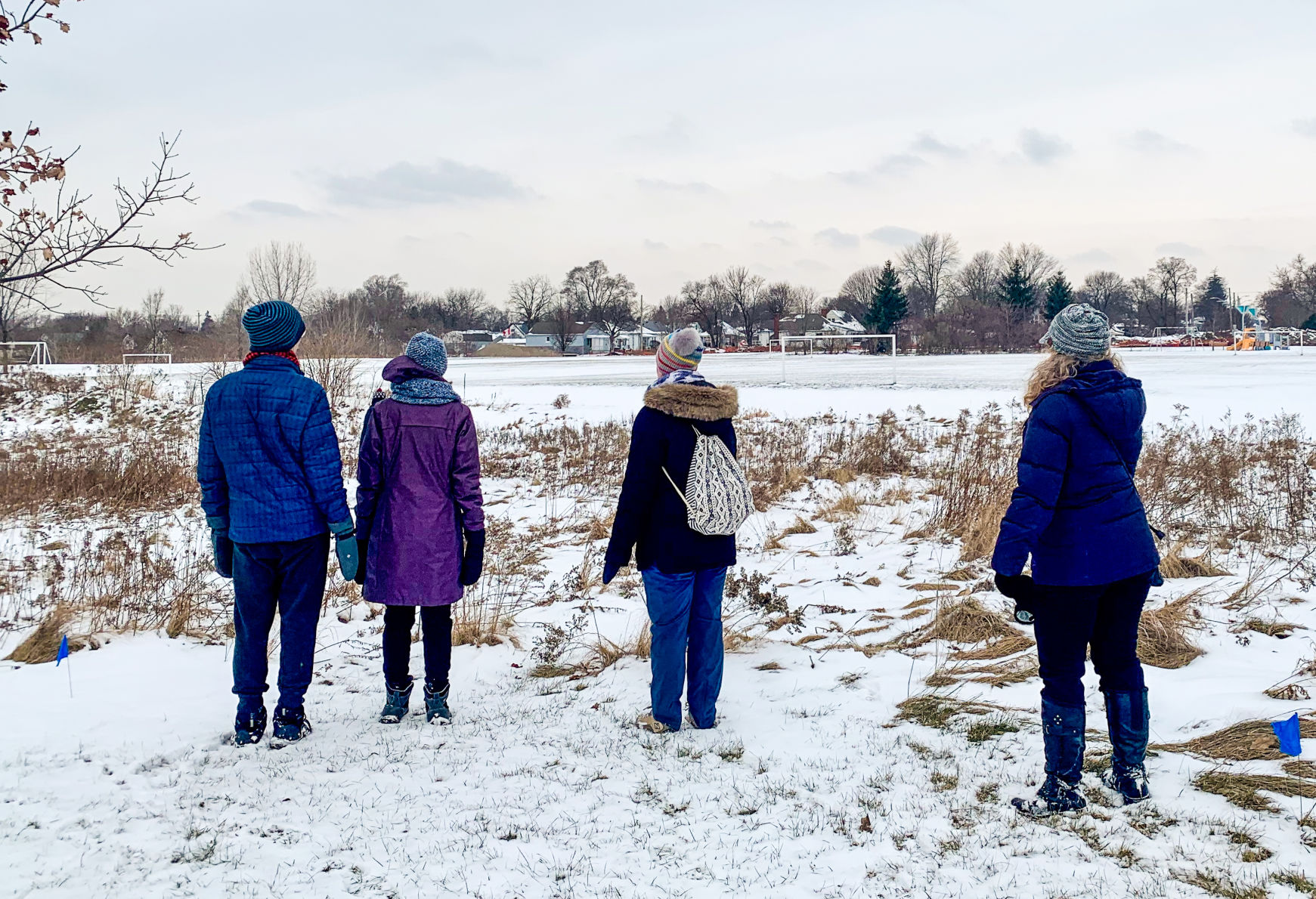 Nature Walk Series (3 of 4)